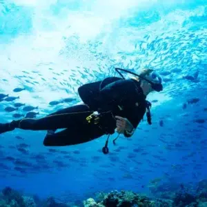 Dive Master Course
