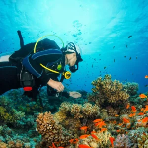 DISCOVERY (2 TANKS) (playa del carmen)