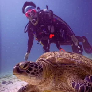 Cozumel Diving Discovery 2 TANKS (ship)