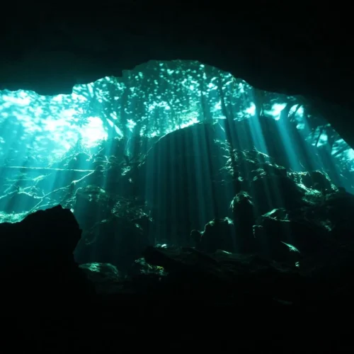 DivingPM-072